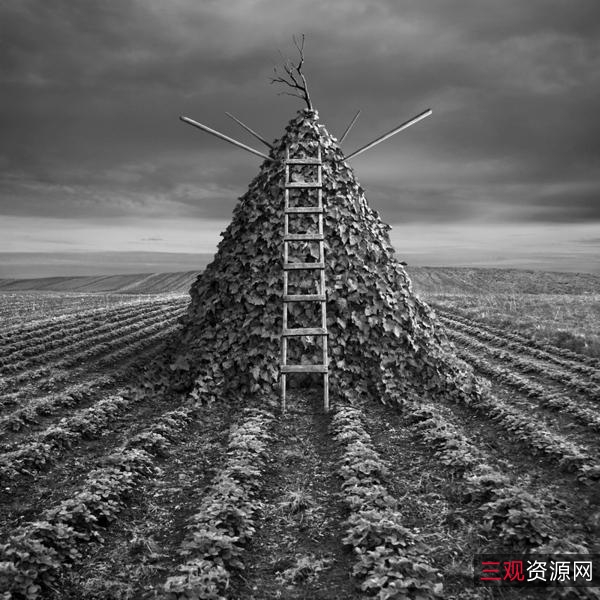 想要制作图像具有大片的感觉吗？「Luminar+AI」给你一场视觉美妙冲击！