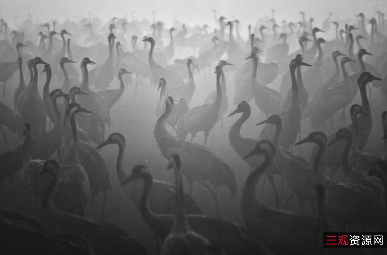 想要制作图像具有大片的感觉吗？「Luminar+AI」给你一场视觉美妙冲击！