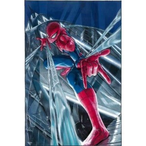 蜘蛛侠系列全集：收藏级原画，清晰播放，重温经典