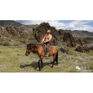 美食纪录片、港台剧、梦魇绝镇、强人普京：一站式视觉盛宴