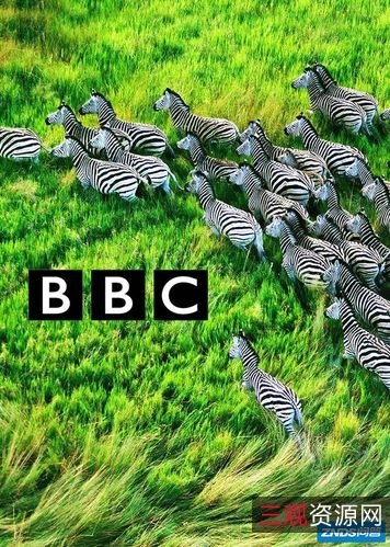 精选高清资源：中国纪录片、BBC纪录片、空难纪录片、BOBO高清电影专辑