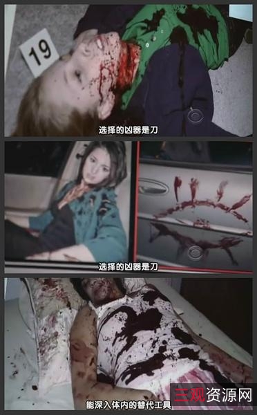 《Criminal.Minds.犯罪心理.S02：从心理学的角度探索罪案》