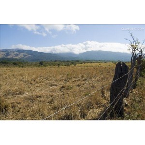 探索卡特拉火山，AliyunDrive上的资源等你来挖掘