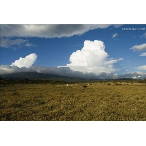 探索卡特拉火山，AliyunDrive上的资源等你来挖掘