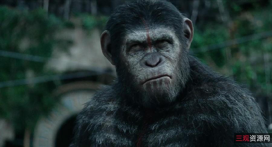 猩球崛起系列4KREMUX3部全集：超高清画质，动作场面精彩绝伦