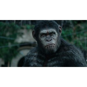 猩球崛起系列4KREMUX3部全集：超高清画质，动作场面精彩绝伦