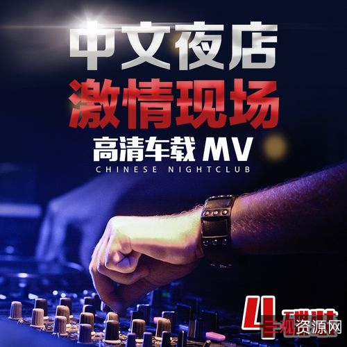 《无损音乐馆：精选音乐集合》