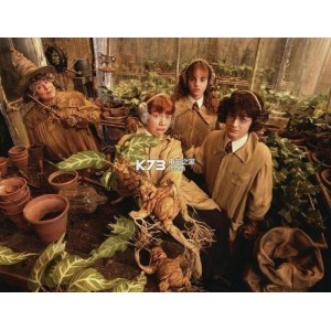 《2022年，哈利波特20周年纪念：回到霍格沃茨》4K画质，内嵌官方中字，丹尼尔·雷德克里夫等参演