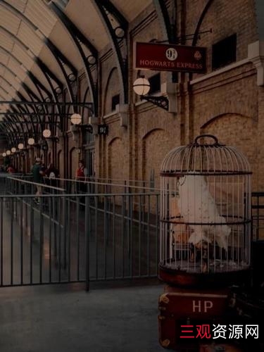 《2022年,哈利波特20周年纪念:回到霍格沃茨》4K画质,内嵌官方中字,丹尼尔·雷德克里夫等参演