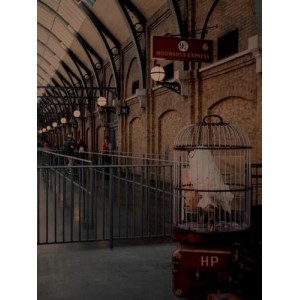 《2022年，哈利波特20周年纪念：回到霍格沃茨》4K画质，内嵌官方中字，丹尼尔·雷德克里夫等参演