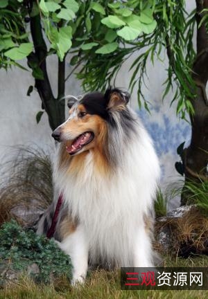 2022年澳大利亚动作恐惧片《兽猎荒原》：迭戈一家三口的求生之旅