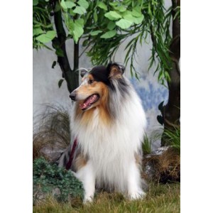 2022年澳大利亚动作恐惧片《兽猎荒原》：迭戈一家三口的求生之旅