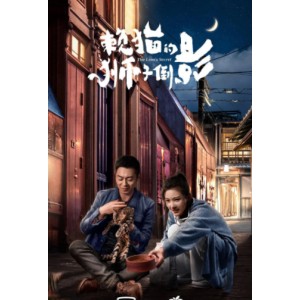 《2021赖猫的狮子倒影：朱亚文/杨子姗主演，爱情故事精彩演出，4K画质，内嵌中字，无广告》