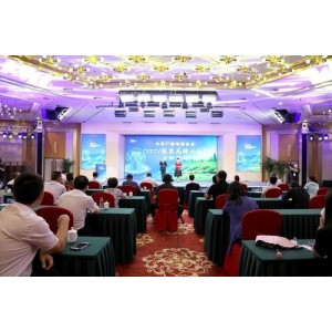 《CCTV中央广播电视总台跨年晚会：乡村振兴·大国工匠·冰雪冬奥·节能减排·生态建设·创新发展》