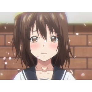 精品高清：坂本先辈纯爱篇，棒球经理花开正果，欣赏完美画面