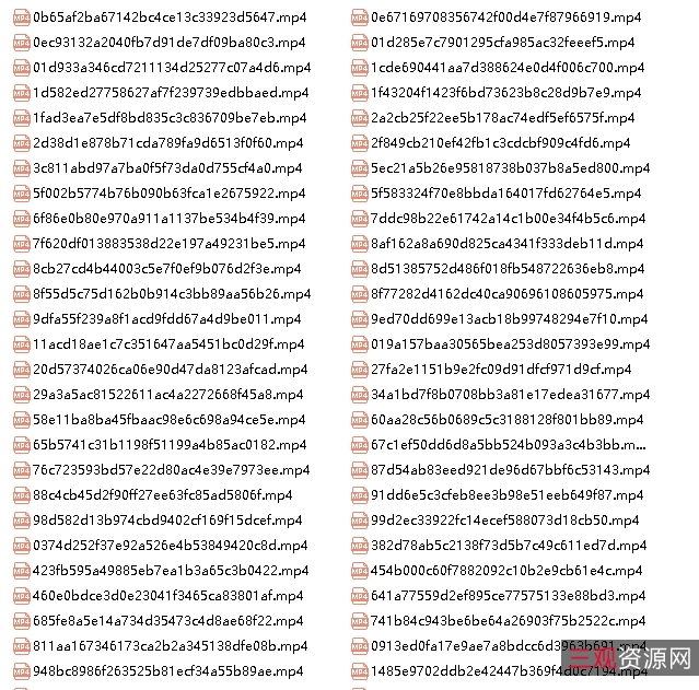 《勇敢追梦：网红秦洋拍摄的激烈自行打包小视频》