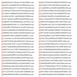 《勇敢追梦：网红秦洋拍摄的激烈自行打包小视频》