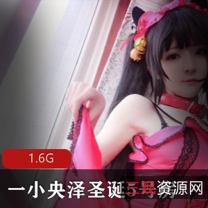 圣诞特惠5号房家居合集