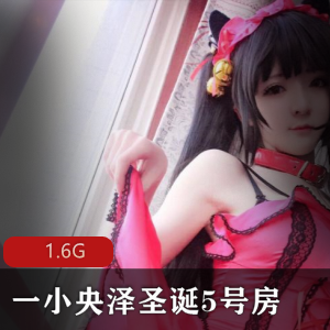 圣诞特惠5号房家居合集