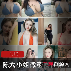 陈大小姐姐网红微博抖音微密圈佳作