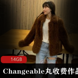 Changeable丸定制高端微博美腿丝袜视频合集