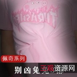 FL姬网红洛美粉丝必备别凶兔兔凳子、裤裤、T恤及高清特写佩奇手表咻憨天使纹身