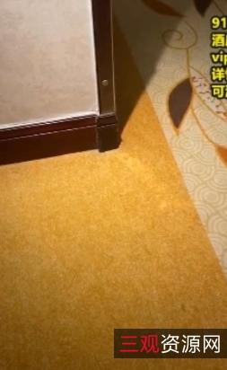 稀缺精选十月酒店民宿情侣房间内打粑粑呐喊录音1V244M