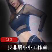 步非烟A失眠R第二集：小小工作室合集
