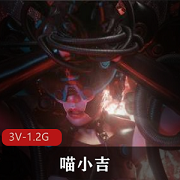 喵小吉最新COS写真：水准X感镂空不穿3V1.2G资源