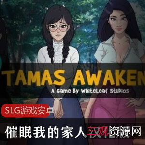 欧美手绘风格SLG游戏-助眠家人汉化版