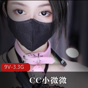 9V-3.3GCC小微微土豪定制升级