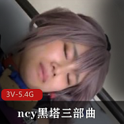 岛国黑塔三部曲cosplay团建you+ma娇小L莉冒浆爆C特写4小时完整版