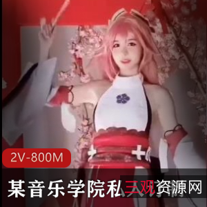 音乐学院小主播私人订制-AI-T衣小视频10个1.4G下载