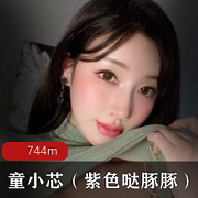 FL姬童小芯紫色哒豚豚颜值御姐气息精品绅士视频744MB