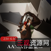 3D原创作者AANiX作品集:动漫游戏人物3D巨作,4K3D画质,黑白版本,下载观看