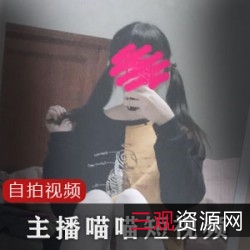 喵喵短视频合集40部