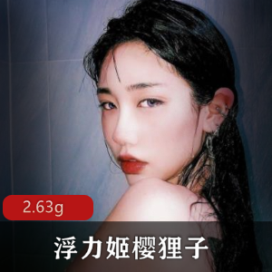 高级明星脸神颜美人樱狸子玉兔硕大粉嫩散播合集2.63G