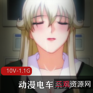 岛国出品动漫电车系列合集,10V-1.1G,20分钟以上,无圣光,女Y界