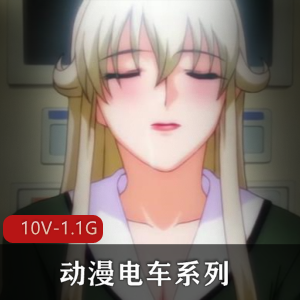 岛国出品动漫电车系列合集，10V-1.1G，20分钟以上，无圣光，女Y界