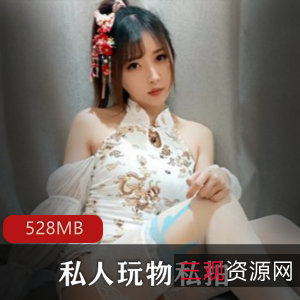 网红私人玩物高端气质美腿白丝诱惑合集528MB