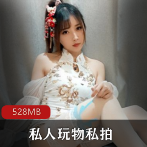 网红私人玩物高端气质美腿白丝诱惑合集528MB