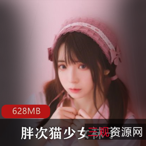 虎牙网红小洛丽视频资源合集628MB