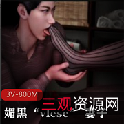 媚黑-vlese妻子3V-800M