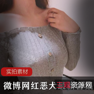 茶杯恶犬视频图包合集：60套40.1G高清套图，典藏版美女COS服装