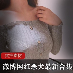 茶杯恶犬视频图包合集：60套40.1G高清套图，典藏版美女COS服装