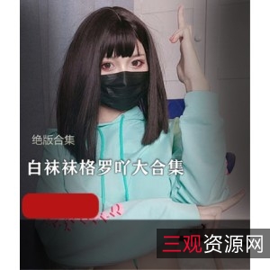 福利姬白袜袜格罗吖合集18.3G视频网红女神推特作品