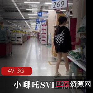 SVIP会员专享：小哪吒海滩春游福利视频，4V-3G高清画质，总时长15分钟，不露脸真K出门，超市郊区探险，下载观看尽情畅想！