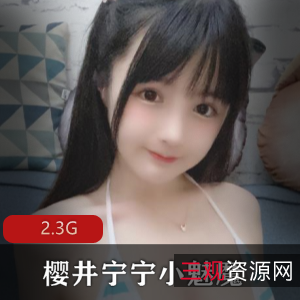 樱井宁宁小魅魔精品合集2.3G视频大放送！