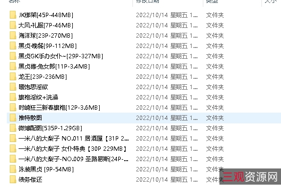 作品合集大梨子多人游，4.3G百度云资源