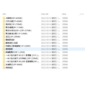 作品合集大梨子多人游，4.3G百度云资源